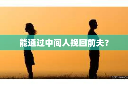 能通过中间人挽回前夫? 能通过中间人挽回前夫?