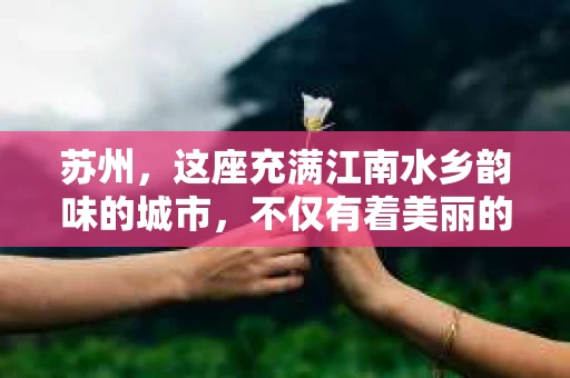 苏州，这座充满江南水乡韵味的城市，不仅有着美丽的自然风光，还有着丰富的社会资源。在苏州，如果你需要寻找一家好的私家侦探社，那么以下这些信息或许能给你一些帮助。