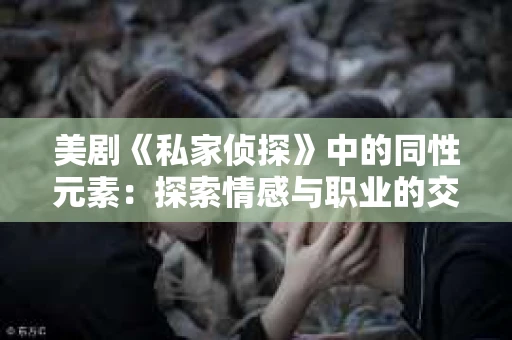 美剧《私家侦探》中的同性元素：探索情感与职业的交织