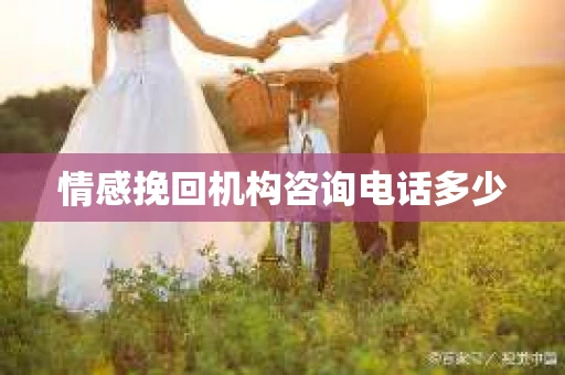 情感挽回机构咨询电话多少
