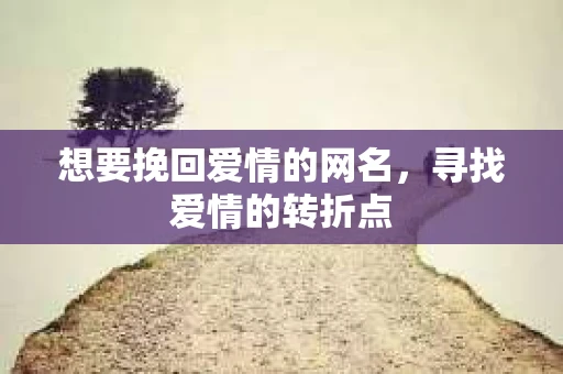 想要挽回爱情的网名，寻找爱情的转折点