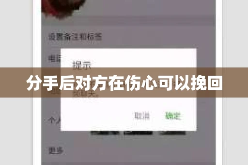 分手后对方在伤心可以挽回