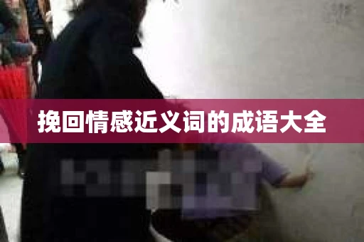 挽回情感近义词的成语大全