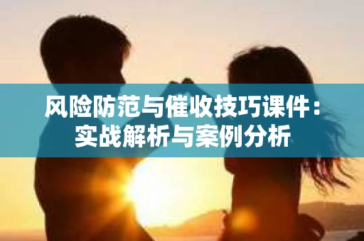 风险防范与催收技巧课件：实战解析与案例分析