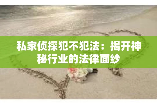 私家侦探犯不犯法：揭开神秘行业的法律面纱