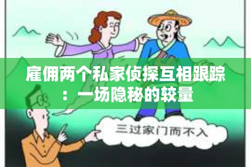 雇佣两个私家侦探互相跟踪：一场隐秘的较量