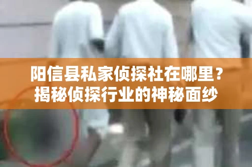 阳信县私家侦探社在哪里？揭秘侦探行业的神秘面纱