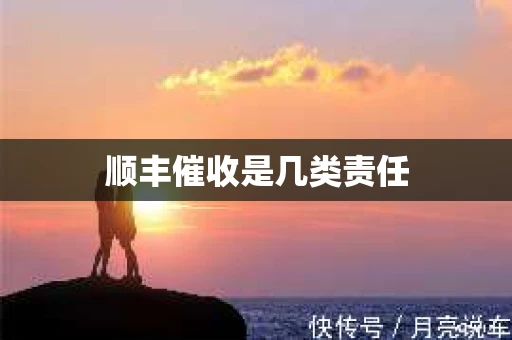 顺丰催收是几类责任