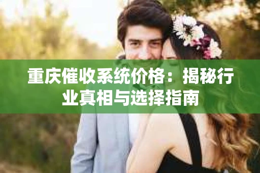 重庆催收系统价格：揭秘行业真相与选择指南