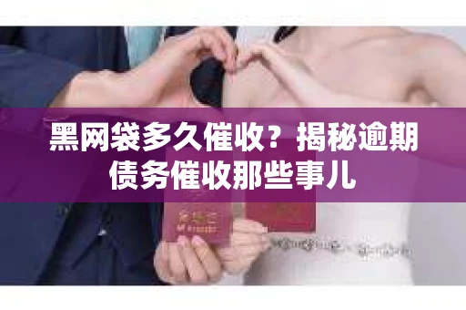 黑网袋多久催收？揭秘逾期债务催收那些事儿