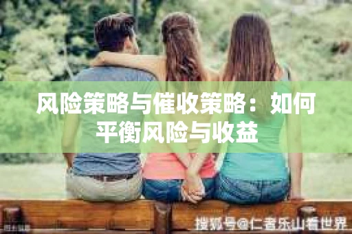 风险策略与催收策略：如何平衡风险与收益