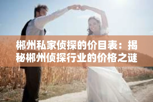 郴州私家侦探的价目表：揭秘郴州侦探行业的价格之谜