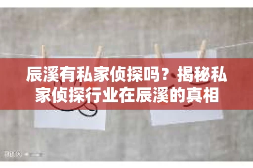 辰溪有私家侦探吗？揭秘私家侦探行业在辰溪的真相