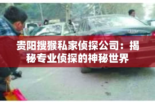 贵阳搜猴私家侦探公司：揭秘专业侦探的神秘世界