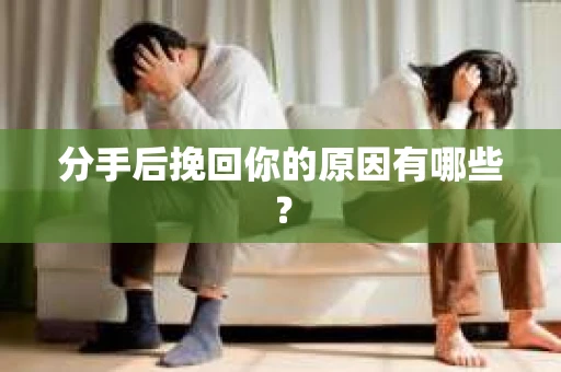 分手后挽回你的原因有哪些？