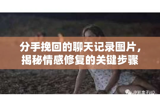 分手挽回的聊天记录图片，揭秘情感修复的关键步骤